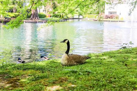 Experience Sacramento With Tranquil Lakeside Views Luaran gambar